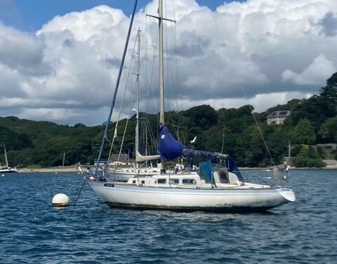 Lonely Boats - She 31 Traveller for FREE in Helford (Near Falmouth) - Matched Boat