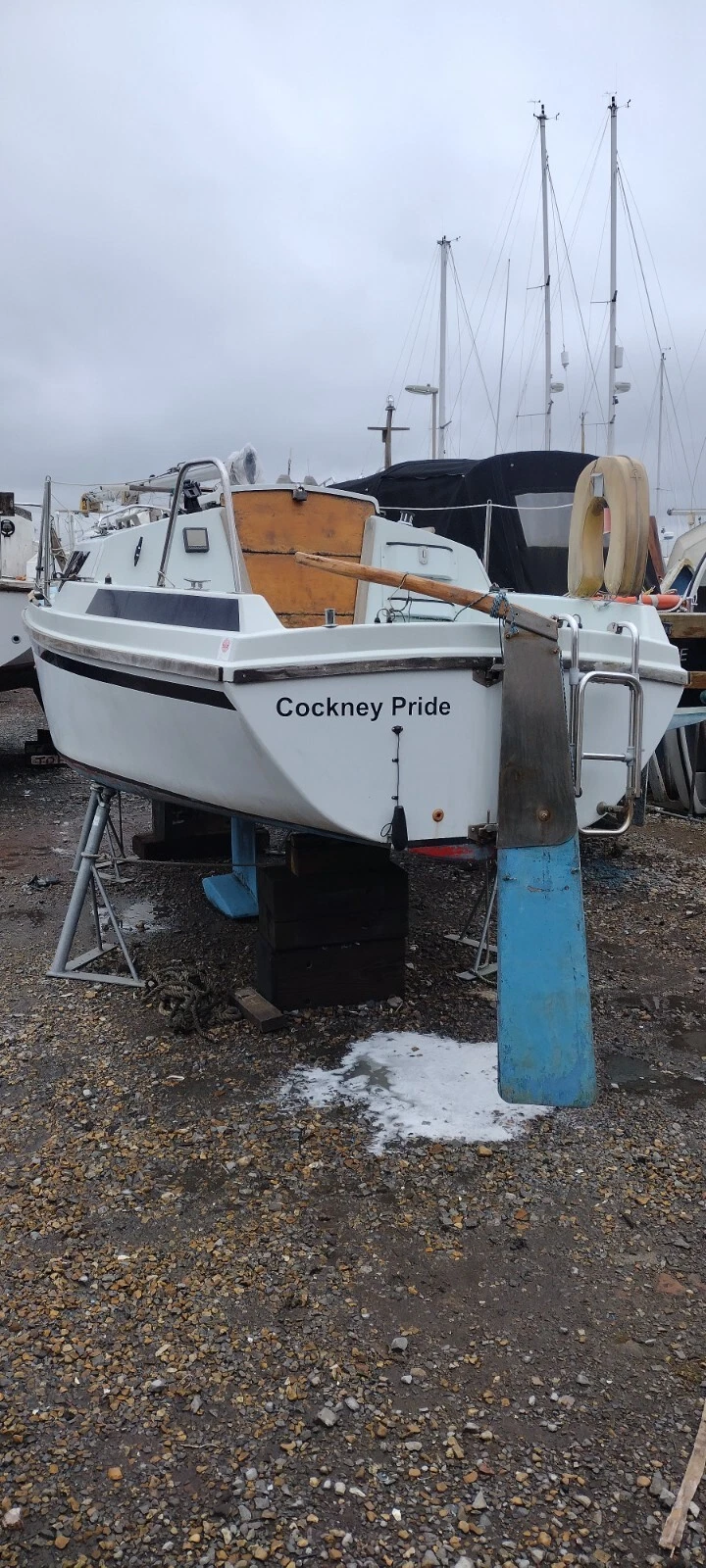 Pippin 20 in Gosport 3